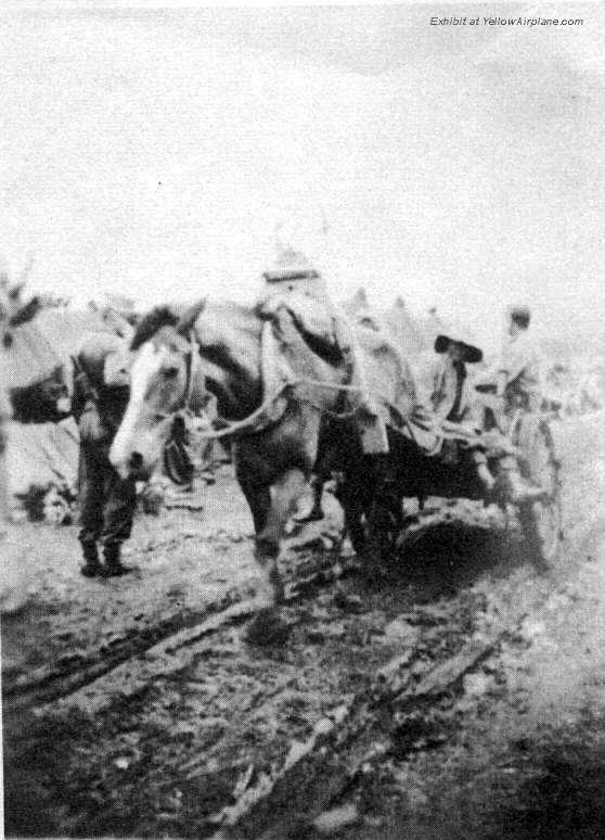 A picture of a horse drawn cart on the island of Ie Shima in WW2