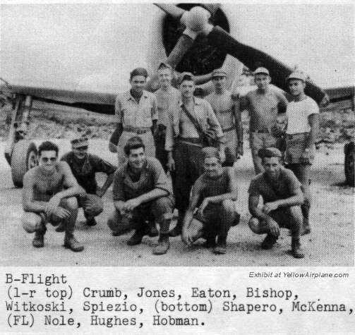 Picture of B-Flight Pilots, P-47 Thunderbolt 2 Fighter Aircraft, World War 2