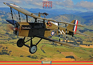 SE-5 WWI Aircraft