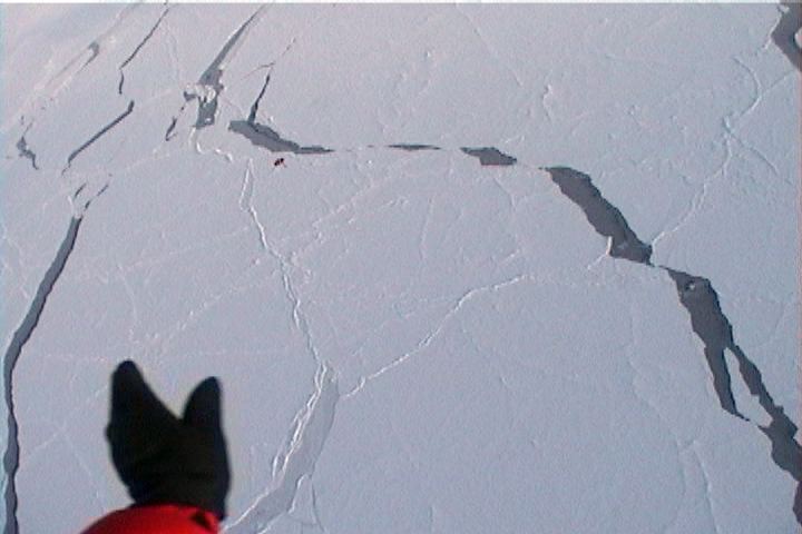 Picture of skydivers with their canopy open over the North Pole ice.