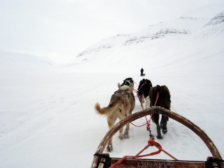 Dog Mushing Photo across the island.