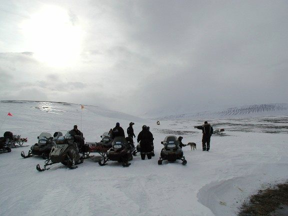 This snowmobile picture shows riders and a dog sled.